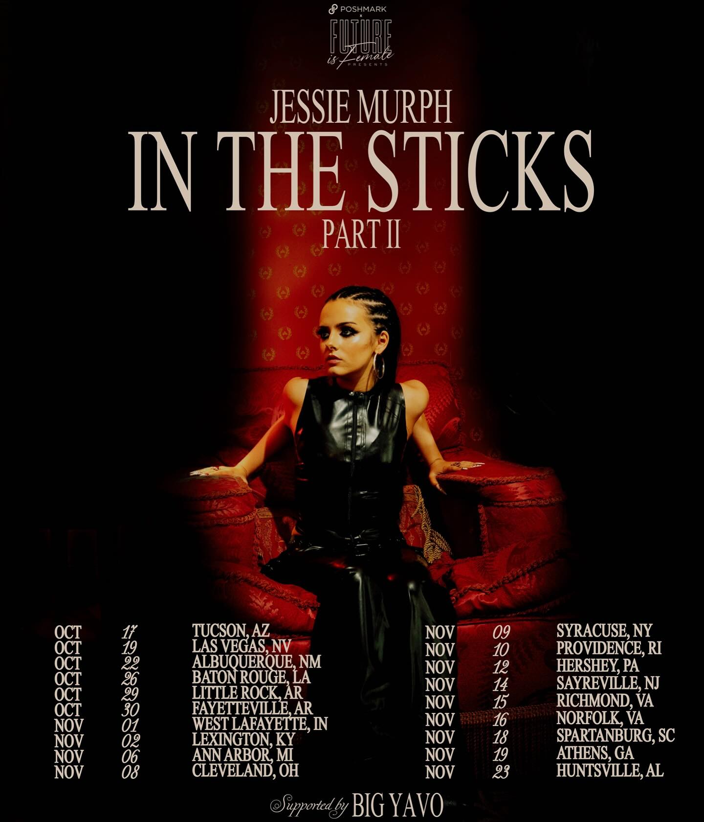 In The Sticks Part II Tour Poster 2024